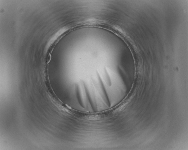 X0000071781410200607282226