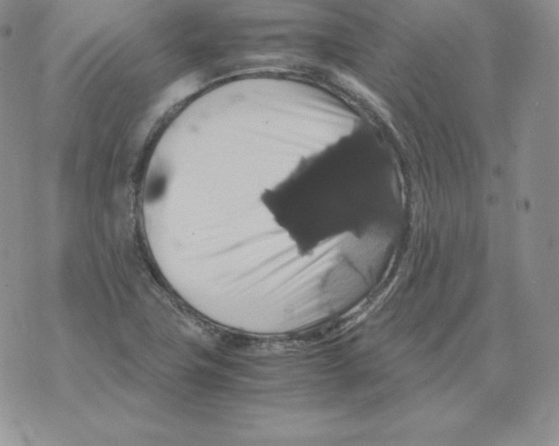 X0000071781411200607282226