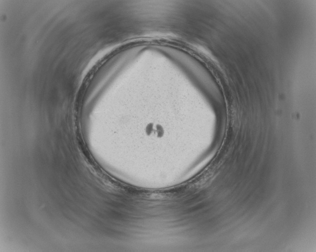 X0000071781412200607282227