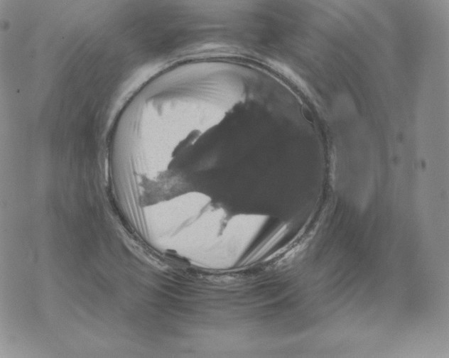 X0000071781413200607282227