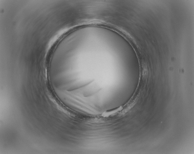 X0000071781414200607282227