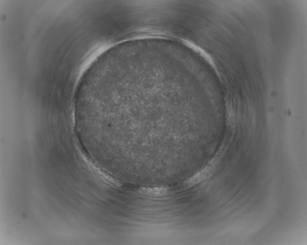 X0000071781415200607282227