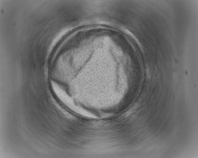 X0000071781416200607282227