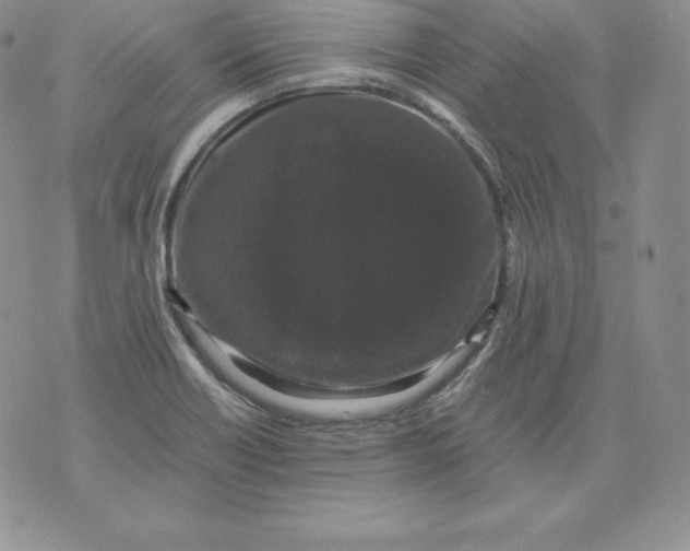 X0000071781418200607282227