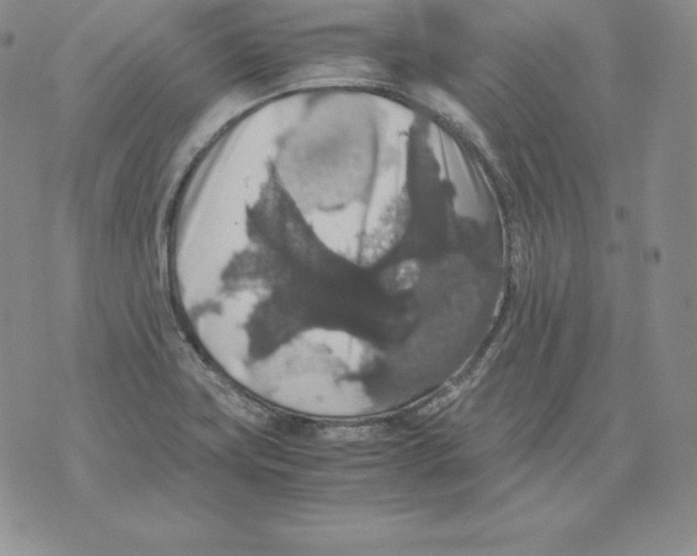 X0000071781419200607282227