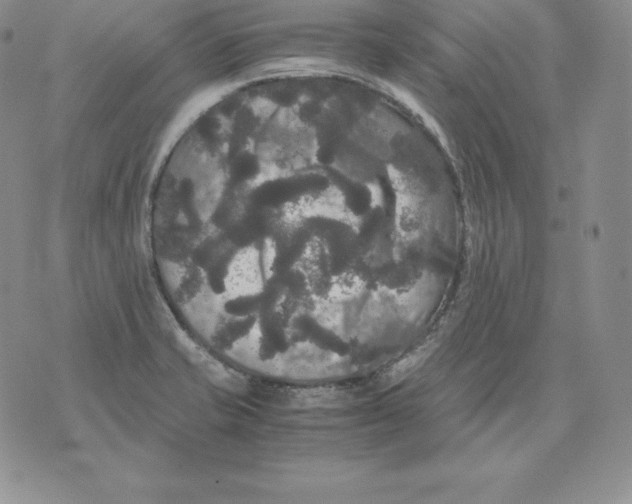 X0000071781421200607282227