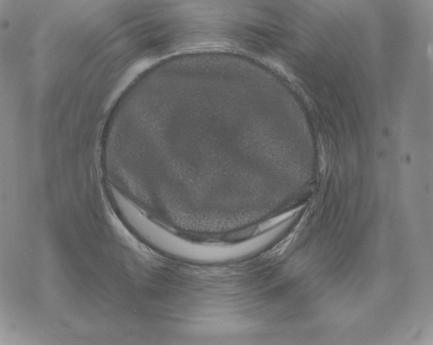 X0000071781422200607282227