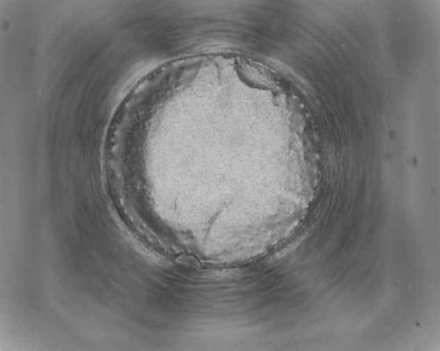 X0000071781423200607282227