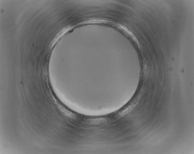 X0000071781425200607282227