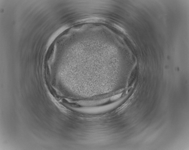 X0000071781426200607282227