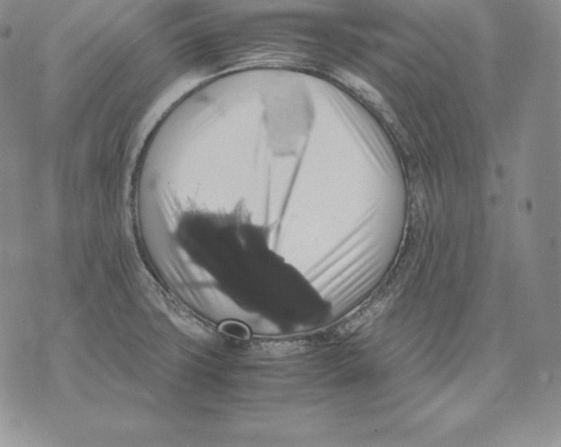 X0000071781427200607282227