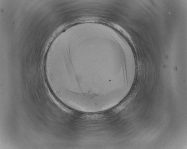 X0000071781429200607282227