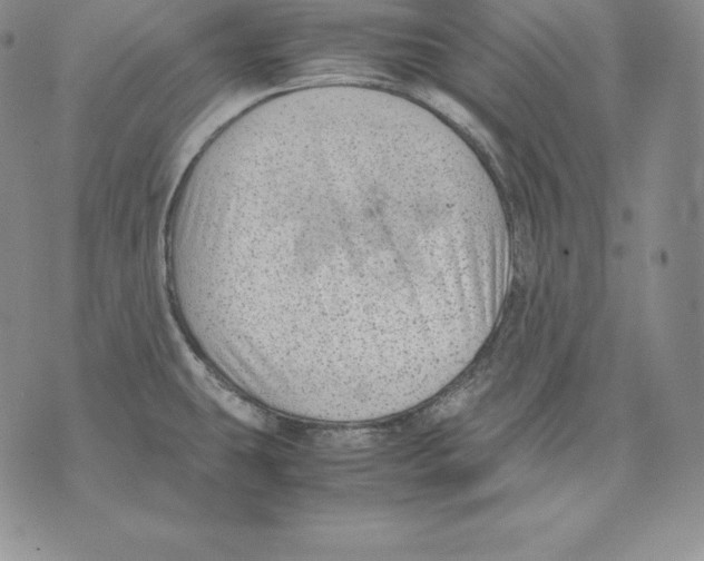 X0000071781431200607282227