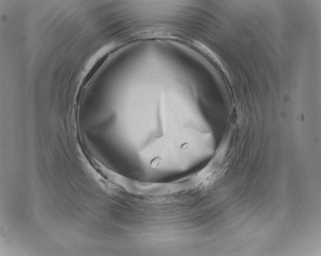 X0000071781434200607282227