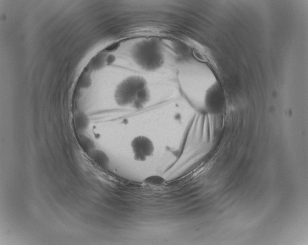 X0000071781435200607282227