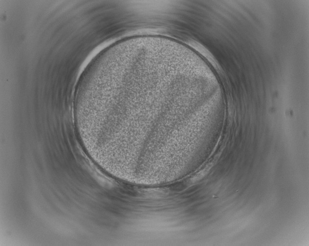 X0000071781436200607282227