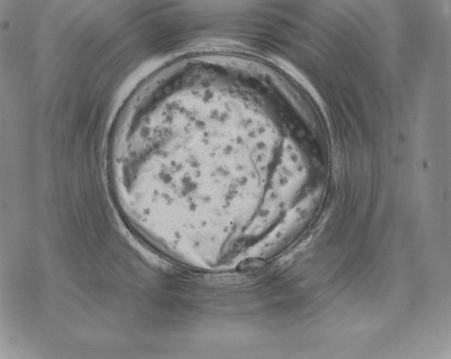 X0000071781437200607282227