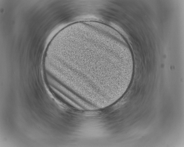 X0000071781440200607282227