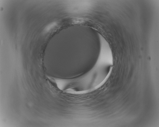 X0000071781441200607282226