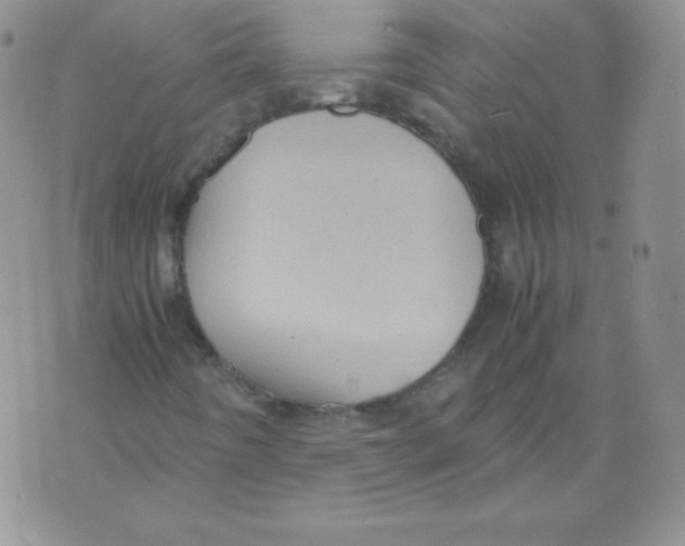 X0000071781442200607282226