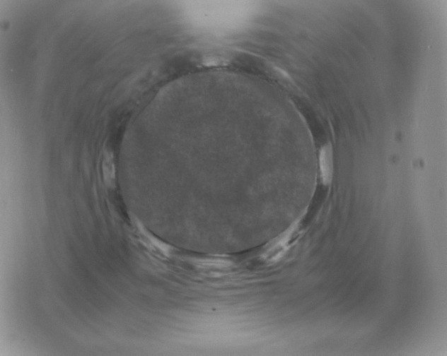 X0000071781443200607282226