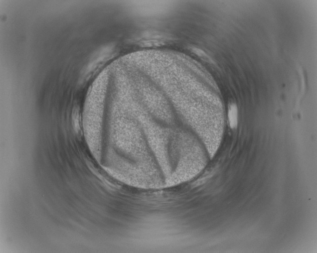 X0000071781444200607282226