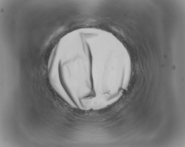 X0000071781447200607282226