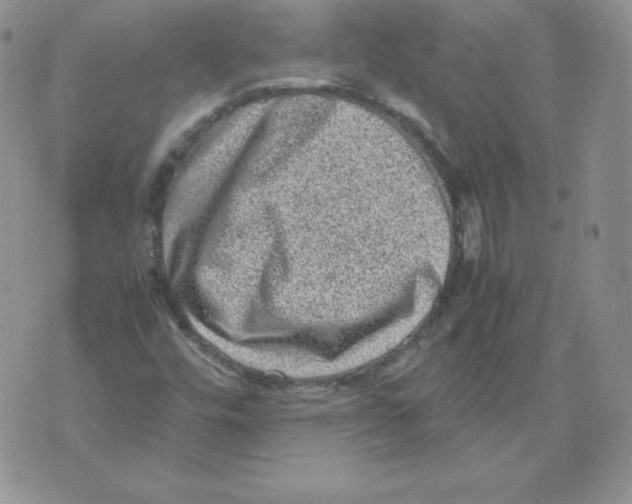 X0000071781448200607282226