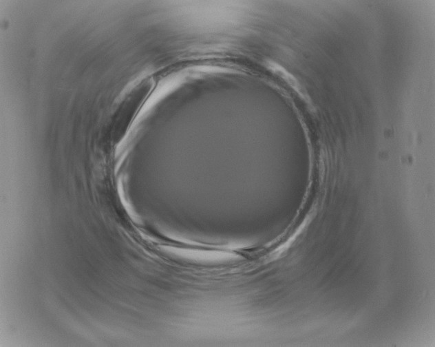 X0000071781449200607282226