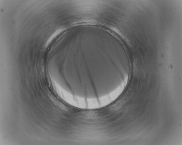 X0000071781450200607282226