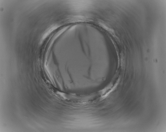 X0000071781453200607282226