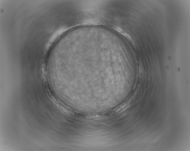 X0000071781454200607282226