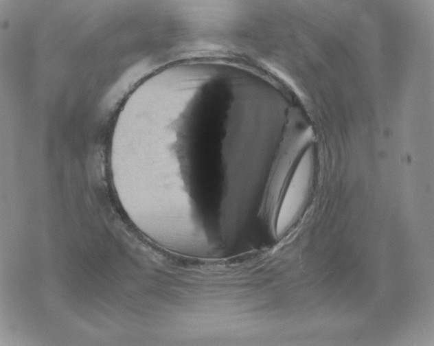 X0000071781455200607282226