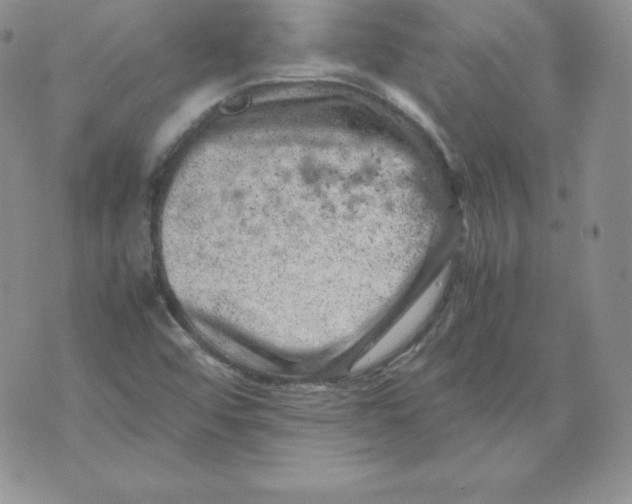 X0000071781456200607282226