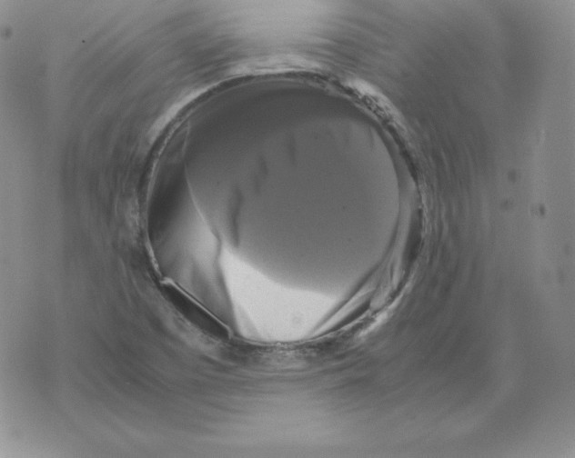 X0000071781457200607282226