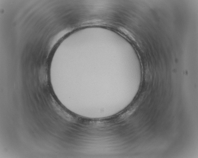 X0000071781458200607282226