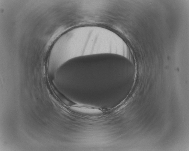 X0000071781459200607282226