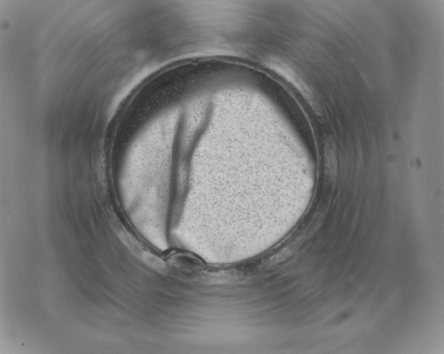 X0000071781460200607282226