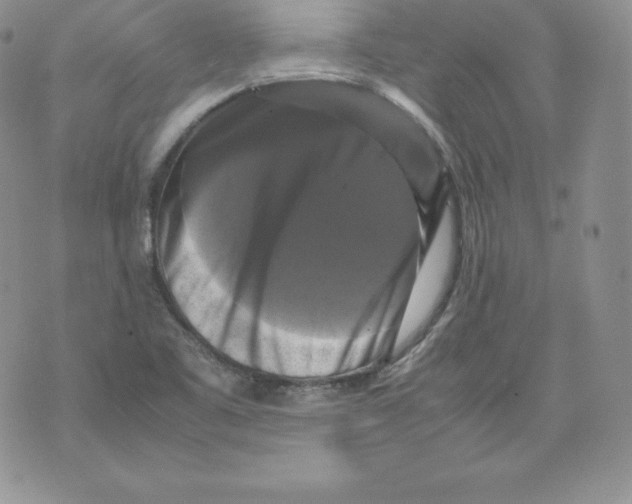 X0000071781461200607282226