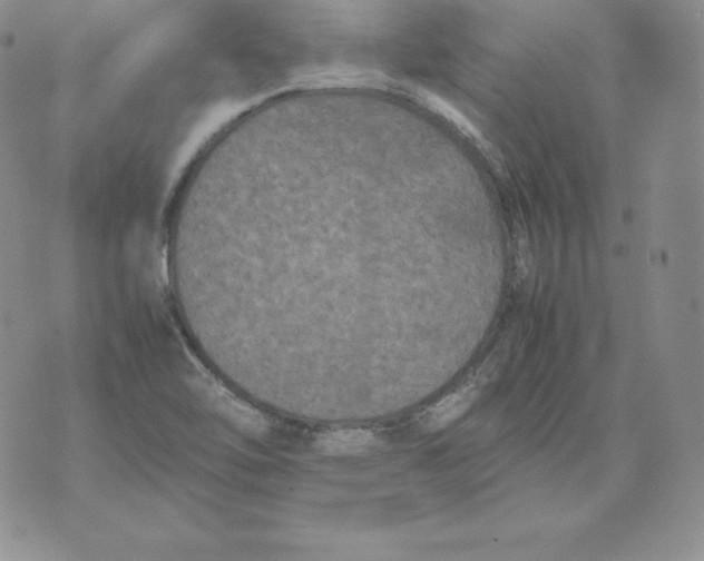 X0000071781462200607282226