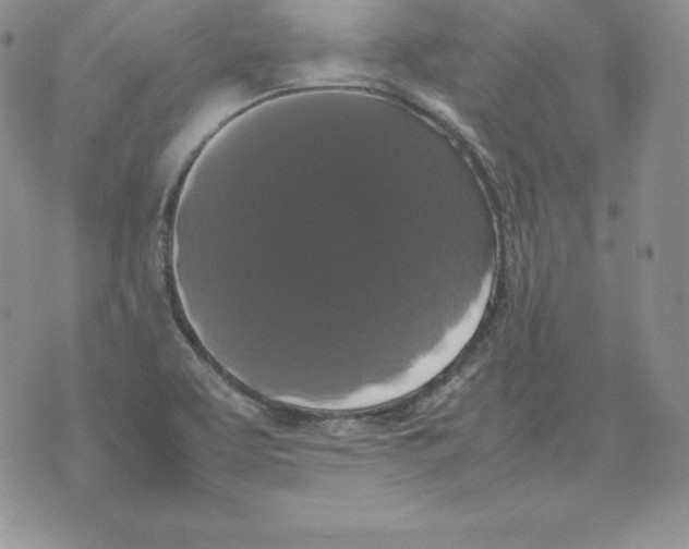 X0000071781463200607282226