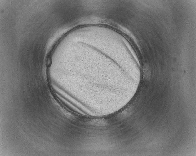 X0000071781464200607282226