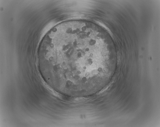 X0000071781467200607282226