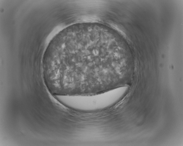 X0000071781471200607282226