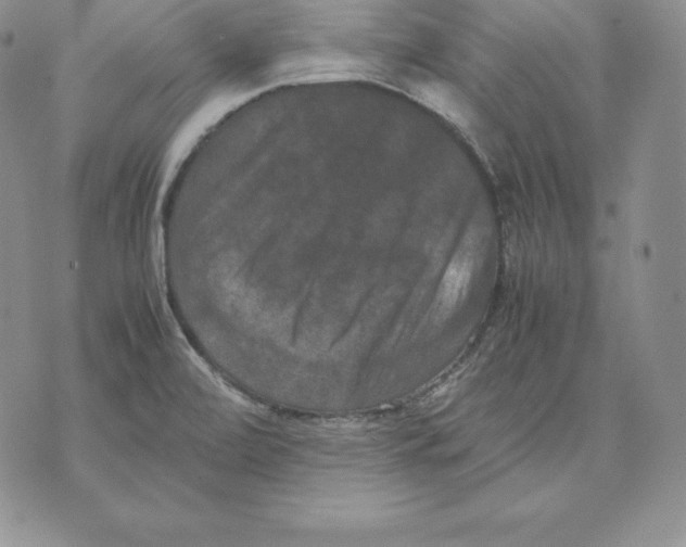 X0000071781472200607282226