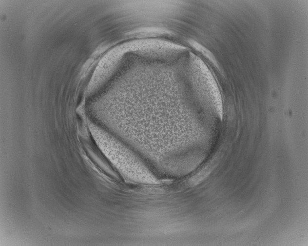 X0000071781473200607282226