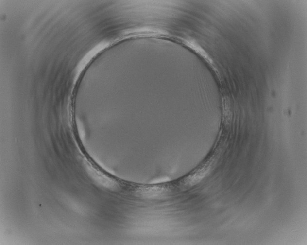 X0000071781474200607282226