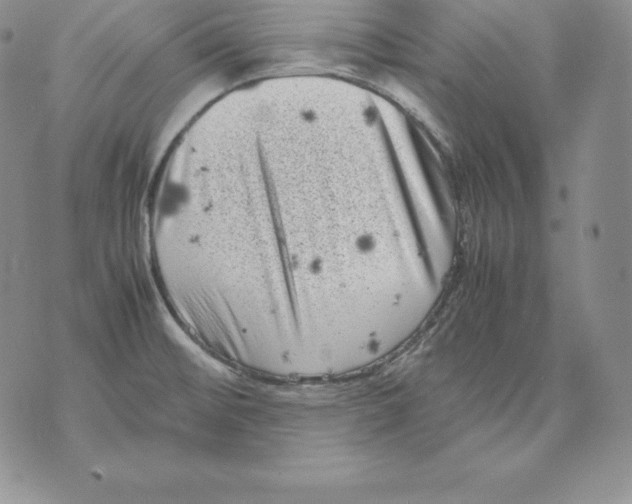 X0000071781476200607282226