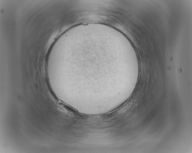 X0000071781477200607282226