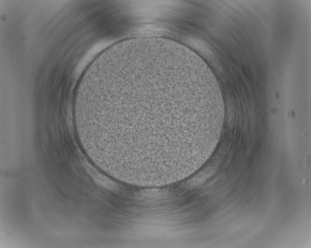 X0000071781478200607282226